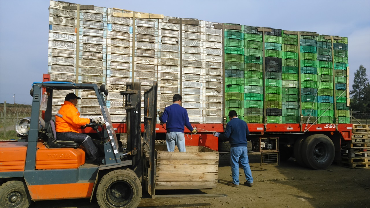 Cajas Plásticas